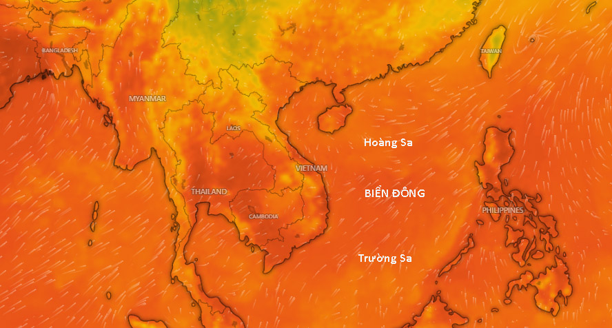 Mô hình hóa dự báo